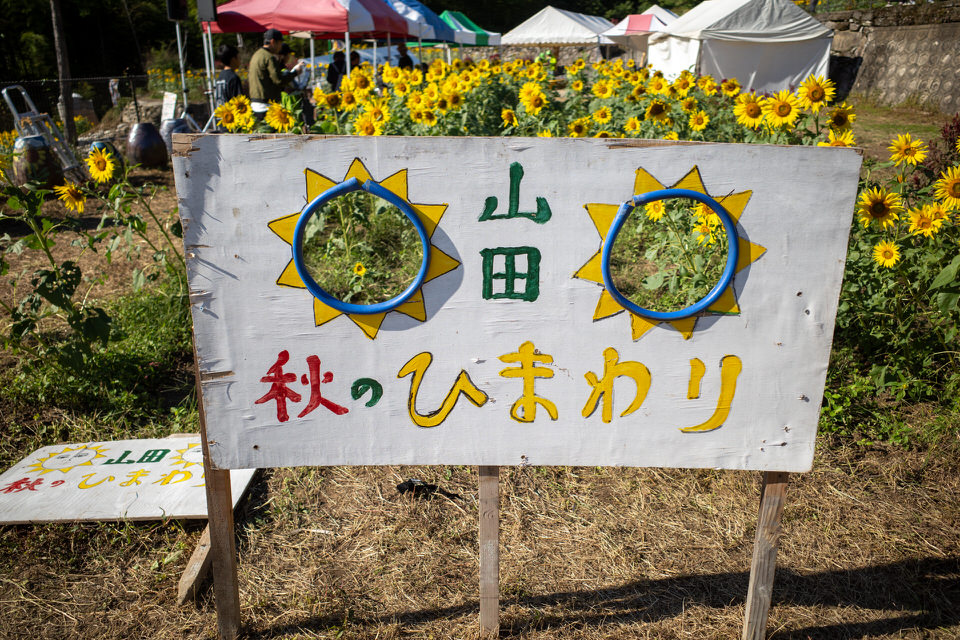 山田ひまわり園顔ハメパネル