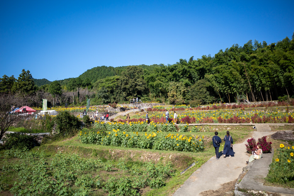 櫓からの景色