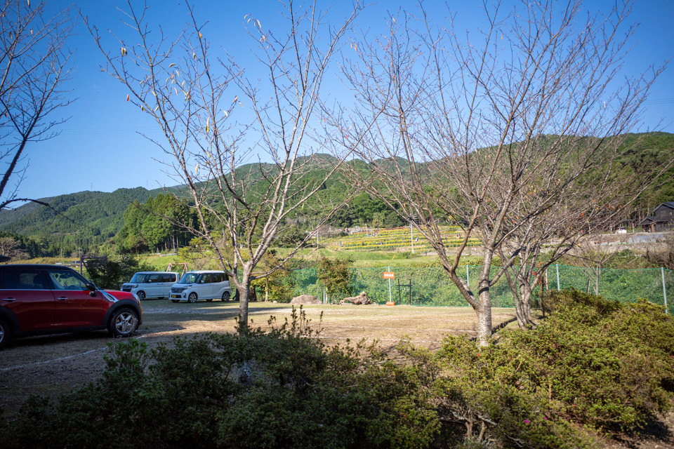 山田ひまわり園臨時駐車場