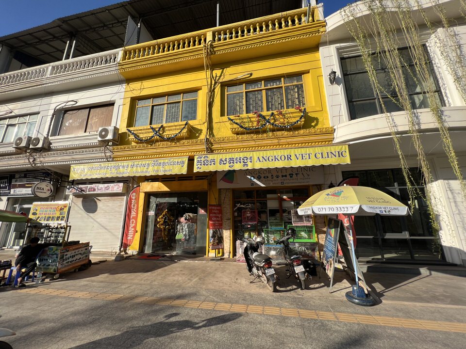 シェムリアップで輸出前検査をお願いしたAngkor Vet Clinic