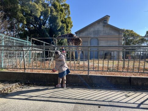 大牟田動物園のキリン