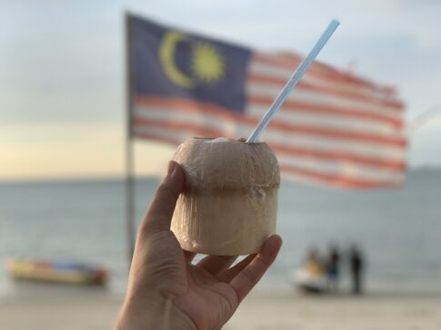 マレーシアのココナッツジュース